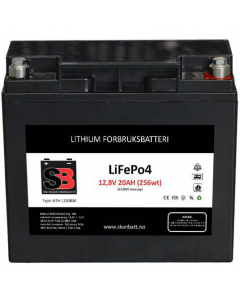 Skanbatt  Lithium Bluetooth LiFePo4 12V batteri 20Ah med 30A BMS